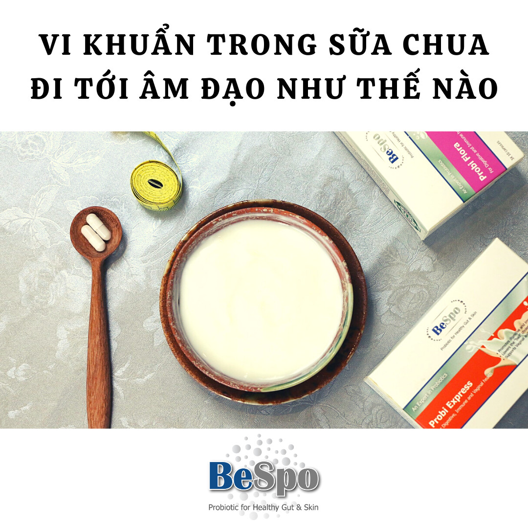 Vi khuẩn trong sữa chua đi tới âm đạo như thế nào?